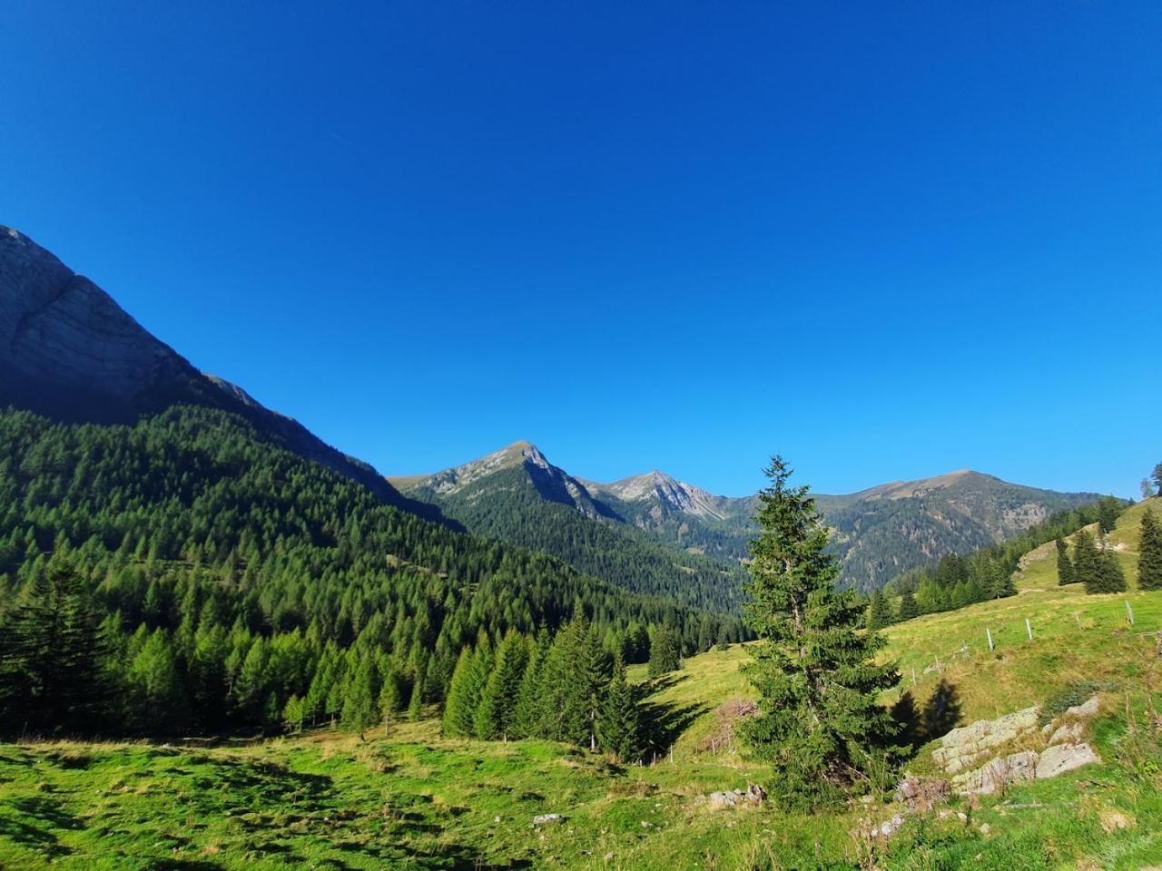 Haus Kraller-Urlaub Mit Seeblick Apartment Милщат Екстериор снимка